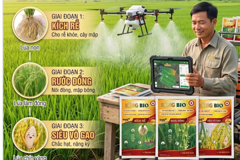 KING BIO VÀ MÁY BAY PHUN THUỐC (DRONE): CẶP BÀI TRÙNG TỐI ƯU HÓA CHI PHÍ VÀ NĂNG SUẤT LÚA THỜI CÔNG NGHỆ 4.0